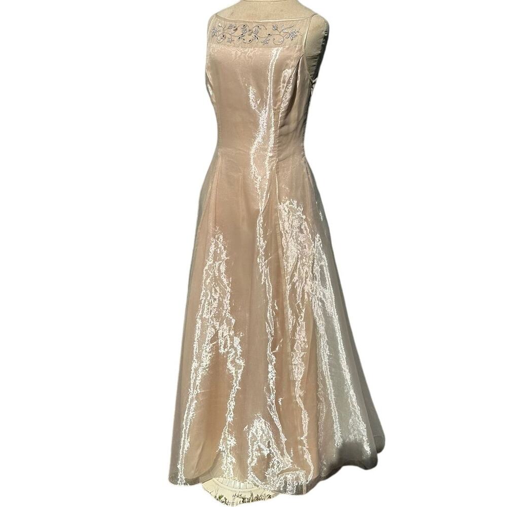 Scott McClintock Sheer Champagne A-Line Midi Dress